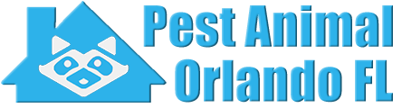 Orlando Wildlife and Animal Removal